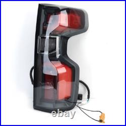 (Incandescent Update LED) Rear Tail Light For Chevy Silverado 1500 2019-2023
